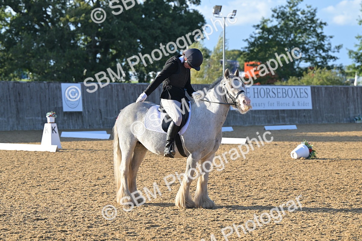 SBM_13161 - D3 - Small Tour Championship Intro 3