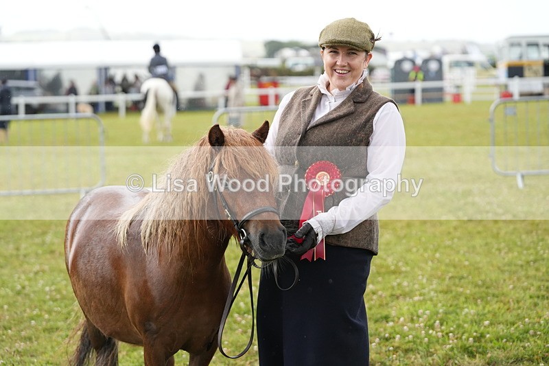 DSC04642 - Class 46: NPS Shetland Youngstock