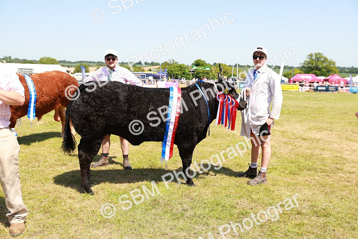 SBM_16501 - Grand Parade