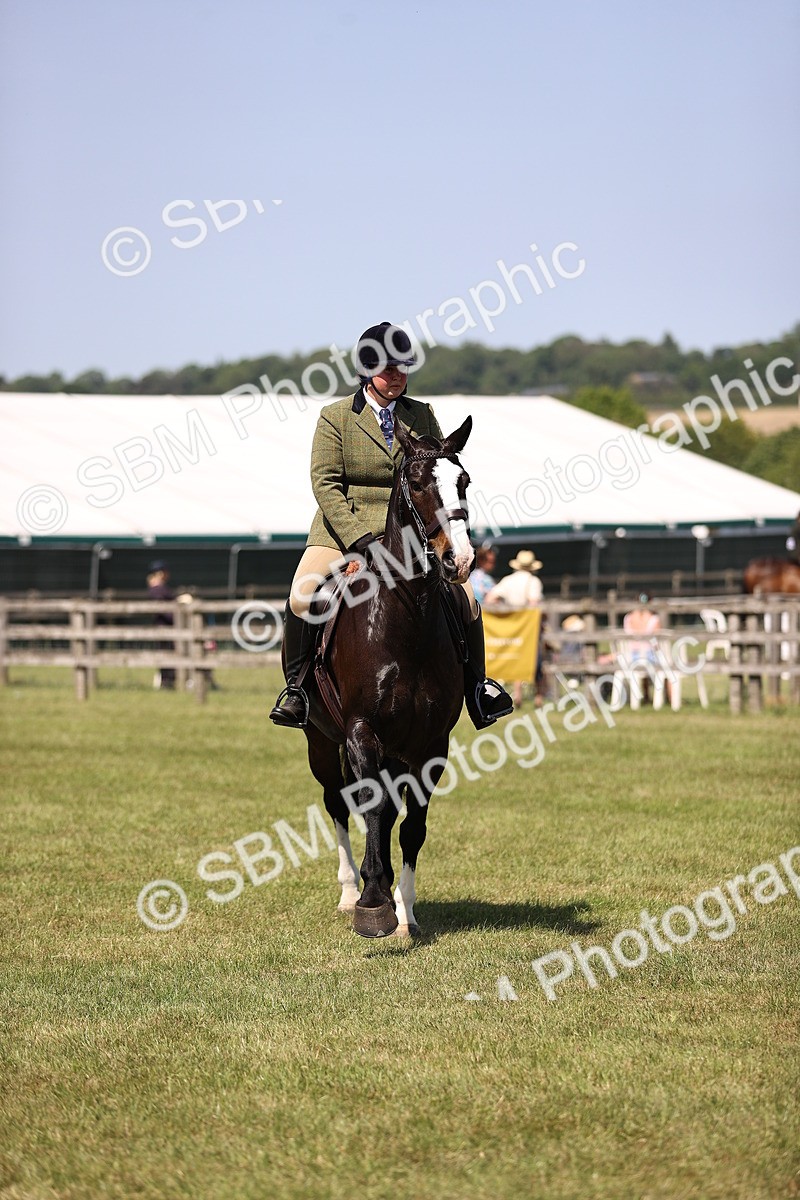 SBM_17917 - Class 81-83 - TSR Ridden Amateur of the Year - Horses