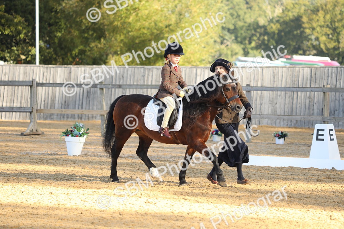 SBM_33675 - D26 - Starers - Lead Rein