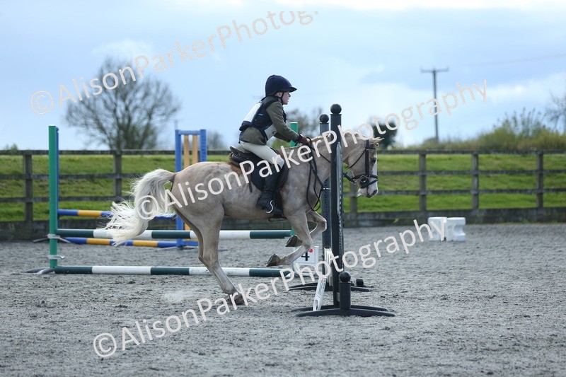 20260412-1782 - Show Jumping