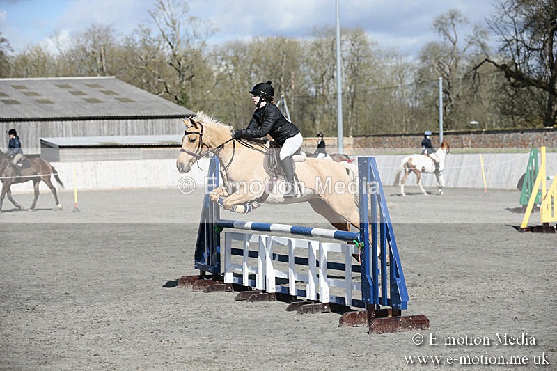BVRC SJ 170319 523 - Bourne Valley Riding Club Showjumping 17/03/19