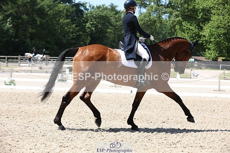 230526-123952-06226 - 161-HEADS_UP-Jemima_Howden-WEDTrotUp+DR