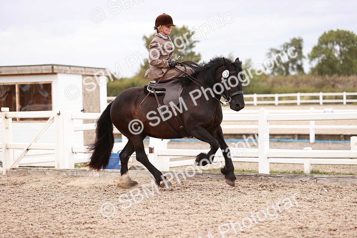 SBM_18962 - Class 422 - Ridden M&M