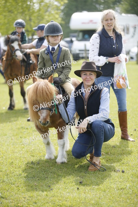 20260426-1900 - Class 7 - Pony Judge Would Most Like To Take Home