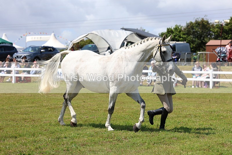 3E7A1205 - Class 8: Open Riding Horse/Hack