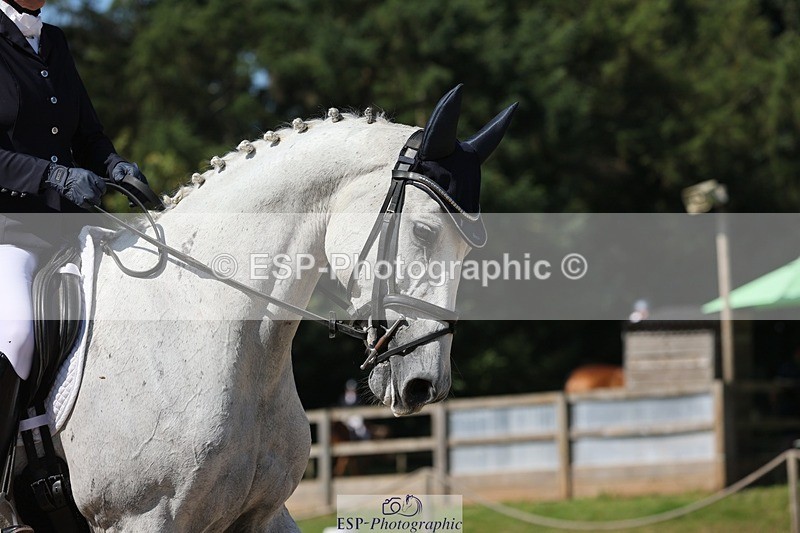 240719-103024-00712 - 198-Louisa_Jenkins-Rosnastraw_Silver_Lady