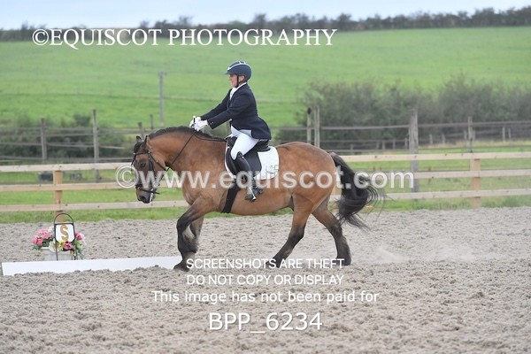 BPP_6234 - ELEMENTARY TEST 4 LONG ARENA