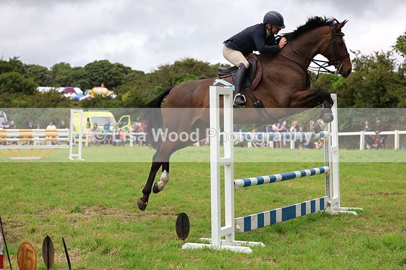 3E7A8588 - Class 8: Senior Foxhunter/1.20m open
