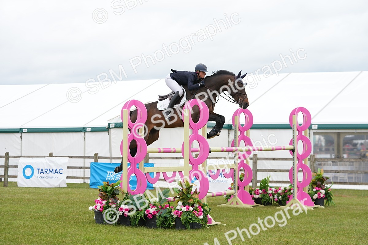 SBM_03067 - Class 201 - British Horse Feeds Speedi Beet Horse of the Year Show Grade  C