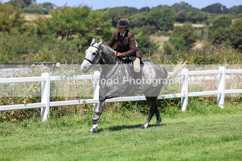 3E7A8988 - Class 6: Open Working Horse