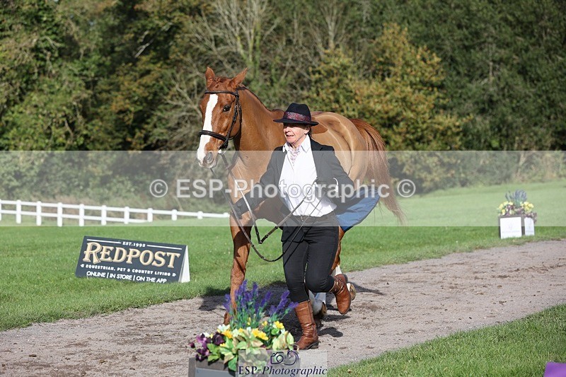 241027-102844-15913 - 502-Alison.Stewart-RICO.III