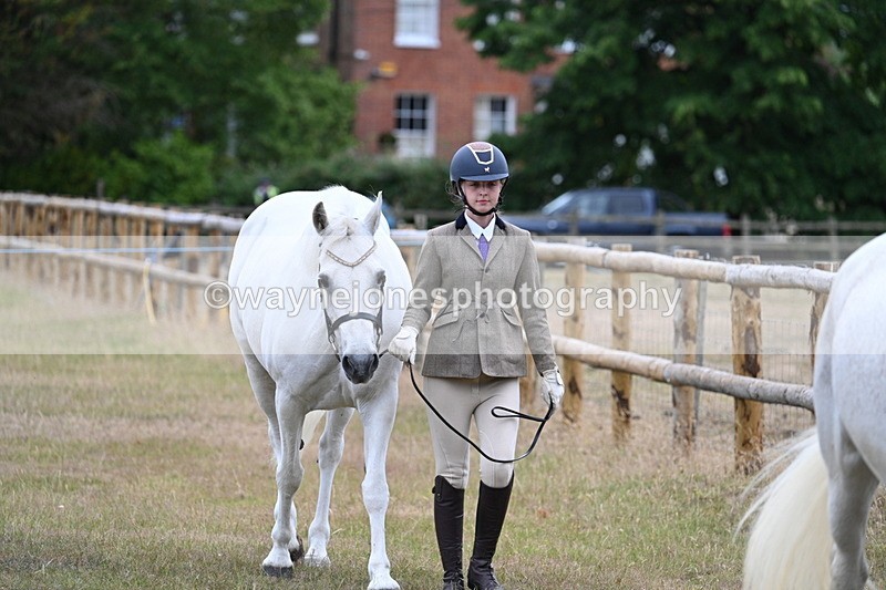 WJ7_9034 - Class 4a Prettiest Mare 14.2hh and over