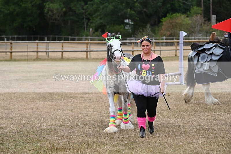 WJ6_8868 - Class 11 Fancy Dress