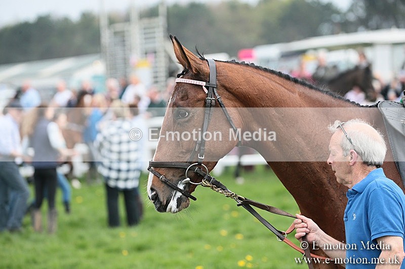 PtP 210418 169 - South & West Wilts Point-to-Point Larkhill 21/04/18