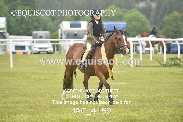 JAC_4159 - 40CM WORKING HUNTER