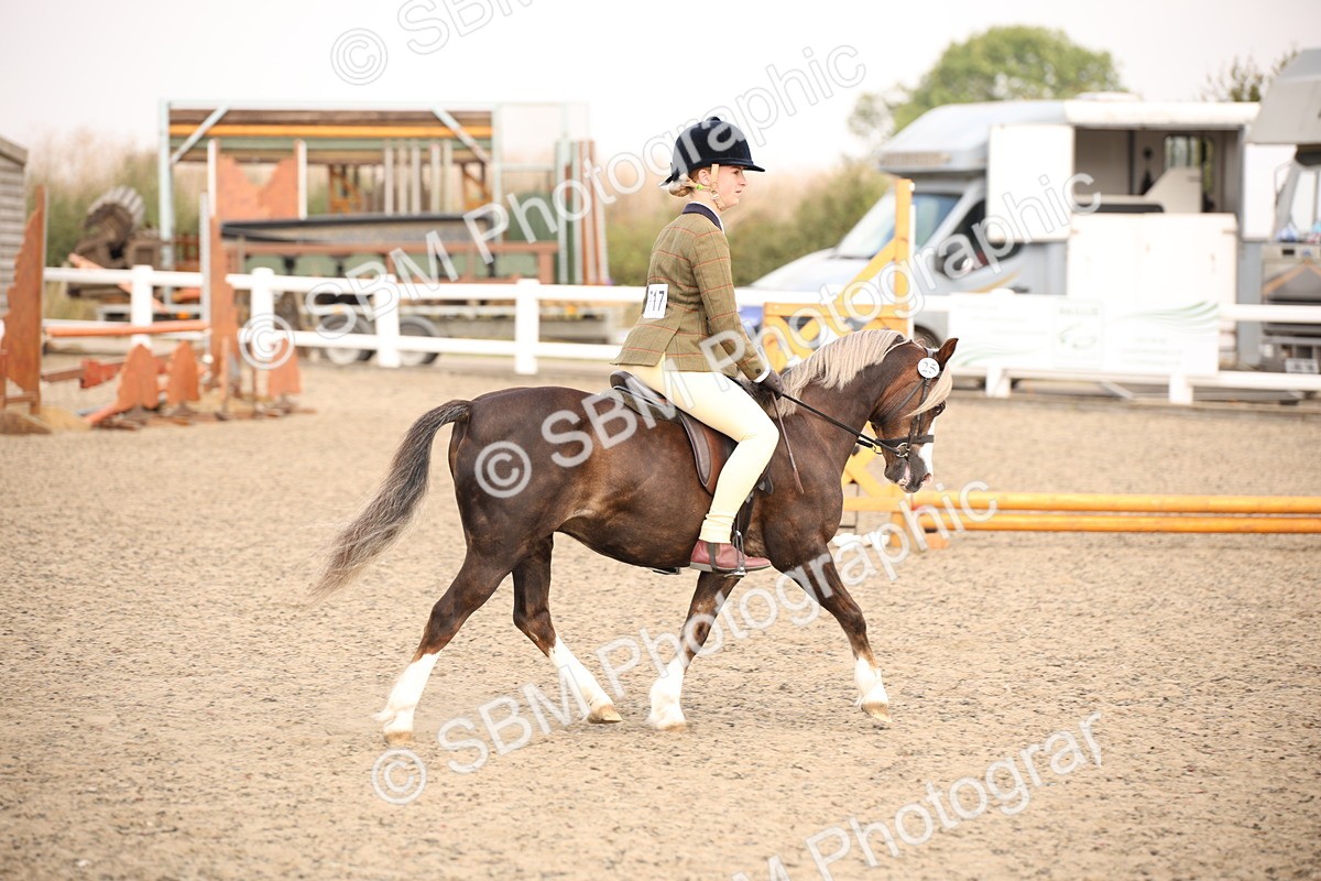 SBM_11685 - Class 404b Junior Working Veteran- 40cm(20+)