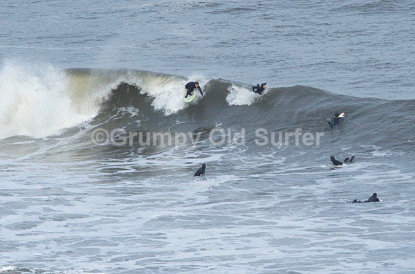 DSC_4352 - Cayton Point 30th October 2017