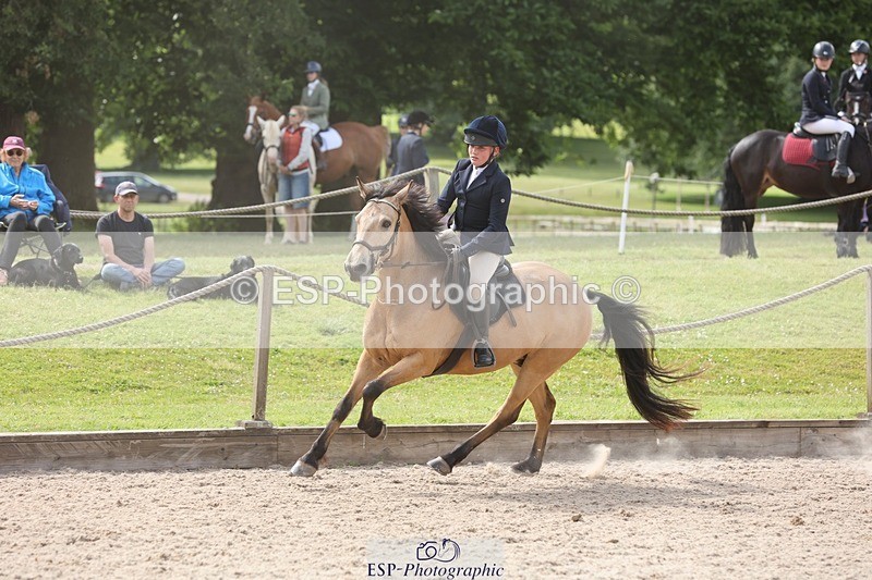 240616-161241-05193 - 80cm 3.30 to End