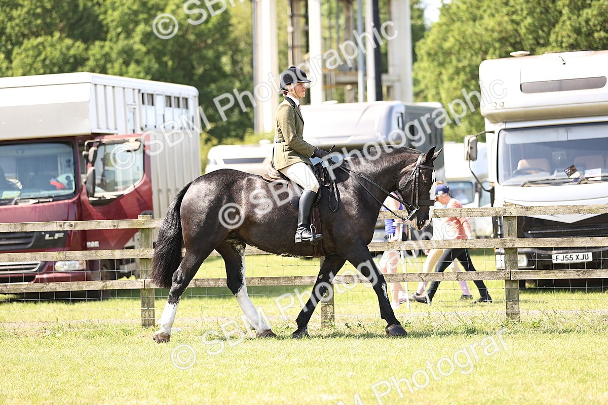 SBM_13684 - Class 77 - LIHS BSHA Rising Star Cobs