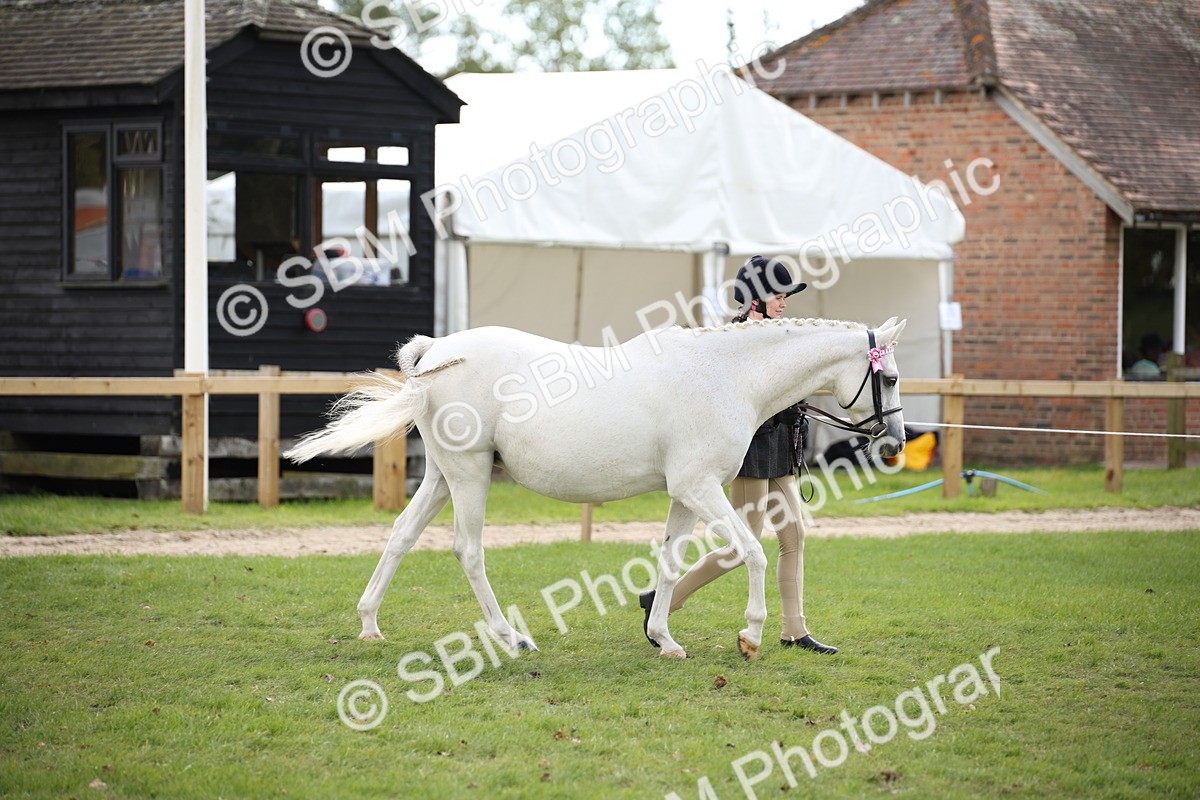 SBM_44357 - S24 - Young Veteran in hand