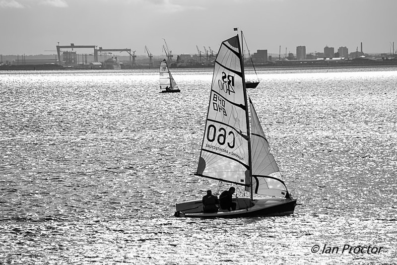 Sailing on Belfast Lough - Black & White