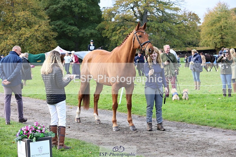 251026A-102204-22929 - E-396-Madeleine.Robertson