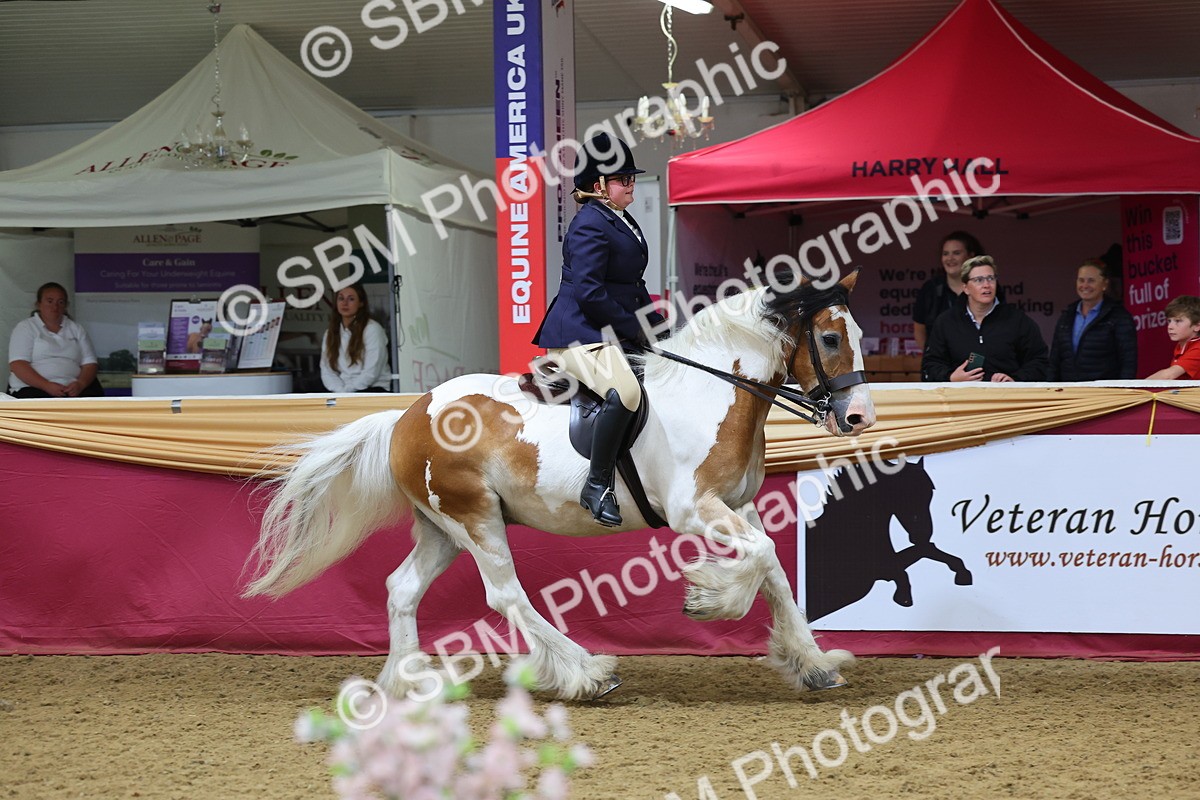 SBM_23678 - Class 904 - Supreme Final Ridden Diamond