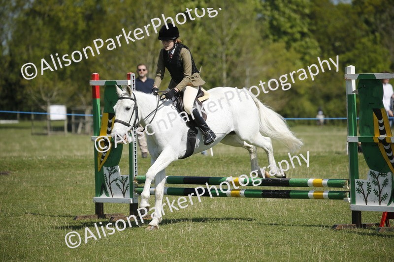 20250427-2104 - Class 13 - Novice Jumping 60cm