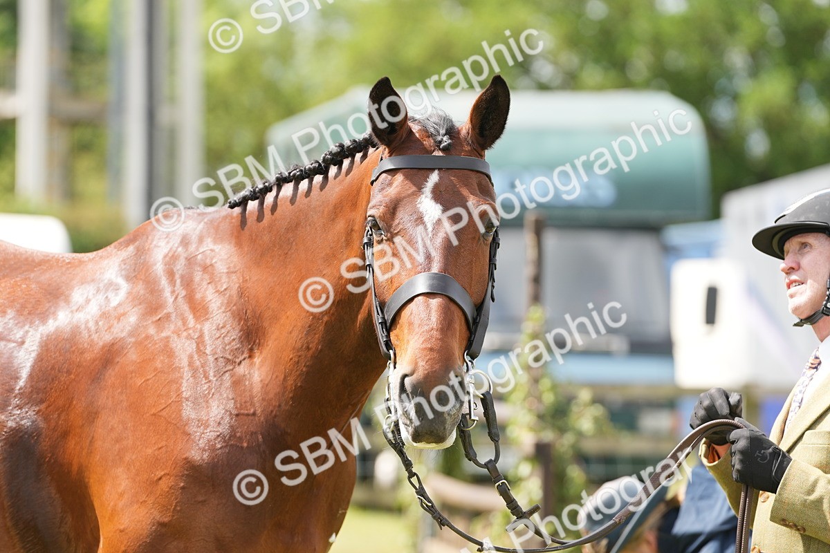 SBM_15036 - Class 100-102 - RIHS Working Hunter