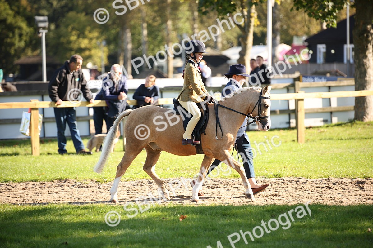 SBM_35664 - S9 - Lead Rein Equitation