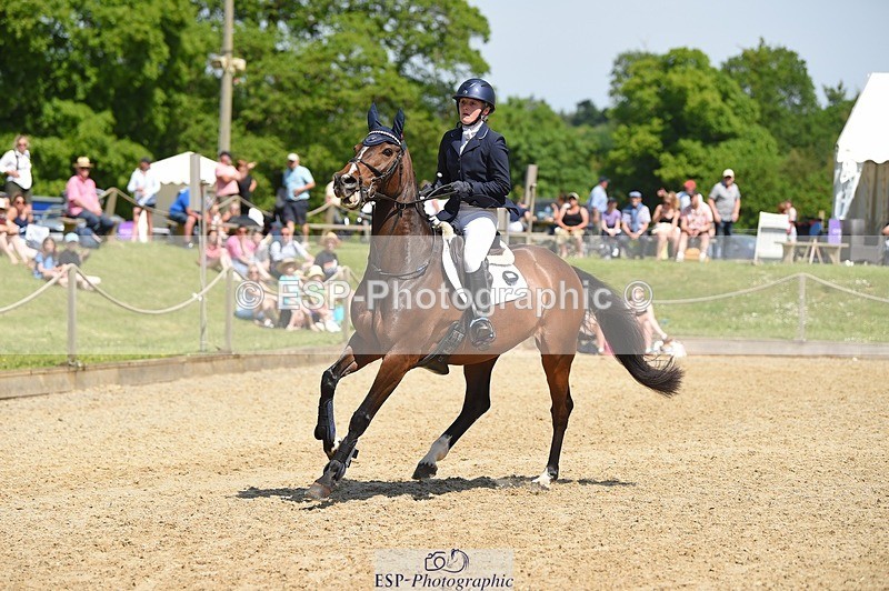 230528-112556-15205 - 379-QUIZICAL_Z-Alice_Hallows-SUNTrotUp+SJ