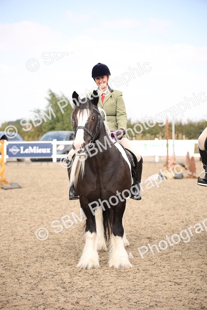 SBM_14379 - Class 407b - Working Veteran 60cm (20+)