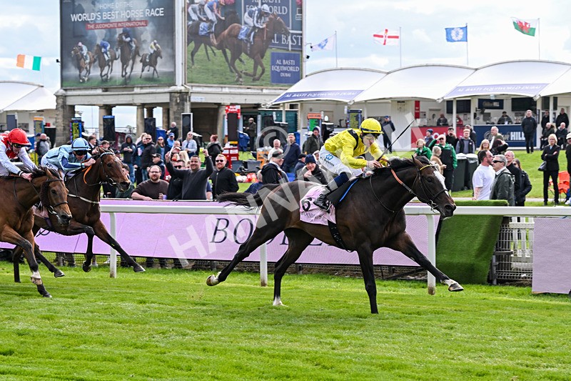 150526-Race 5-Rahiebb-8132 - Race 5 4.05pm Boodles Yorkshire Cup Stakes
