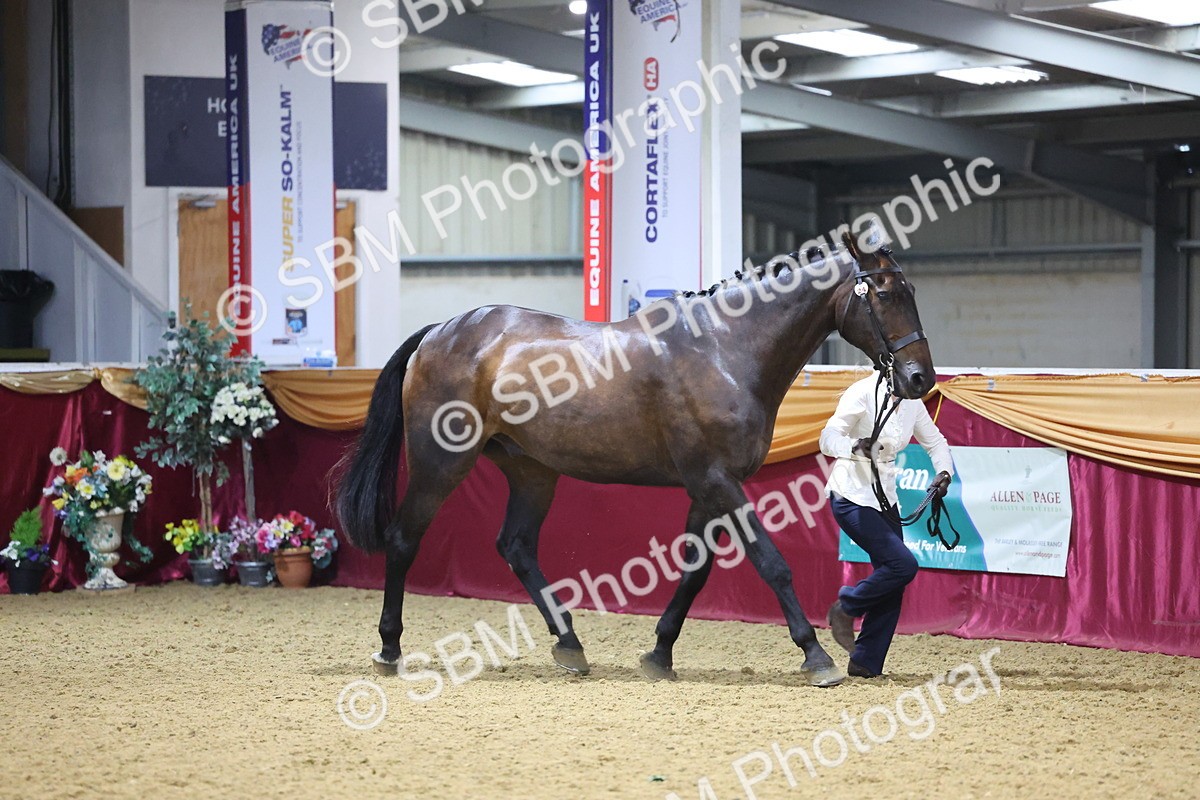 SBM_20770 - Class 902 - Supreme Final IH Veteran