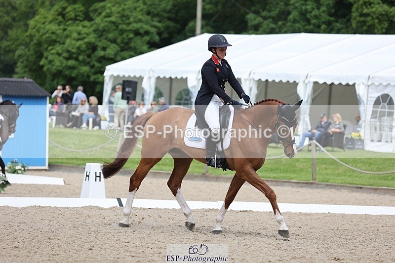 240524-103825-07468 - 263-CHILLI_MORNING_IV-Gemma_Stevens