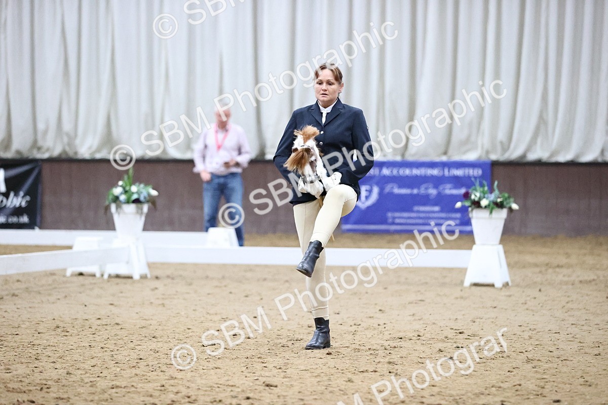 SBM_003402 - Class 13 - Dressage