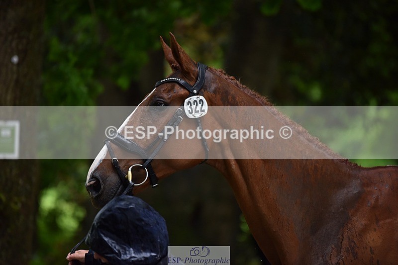 240522-151936-00263 - 322-CHILLI_KING-Gemma_Stevens