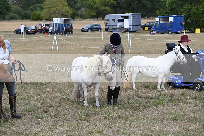 WJ6_7147 - Class 21 Shetland & Mini Horses