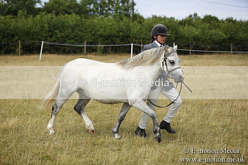 _C7A9610 - BVRC Sow 2018 Ring 2