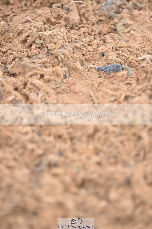 240327A-103204-00112 - Cls 1 British Novice and 90cm Open