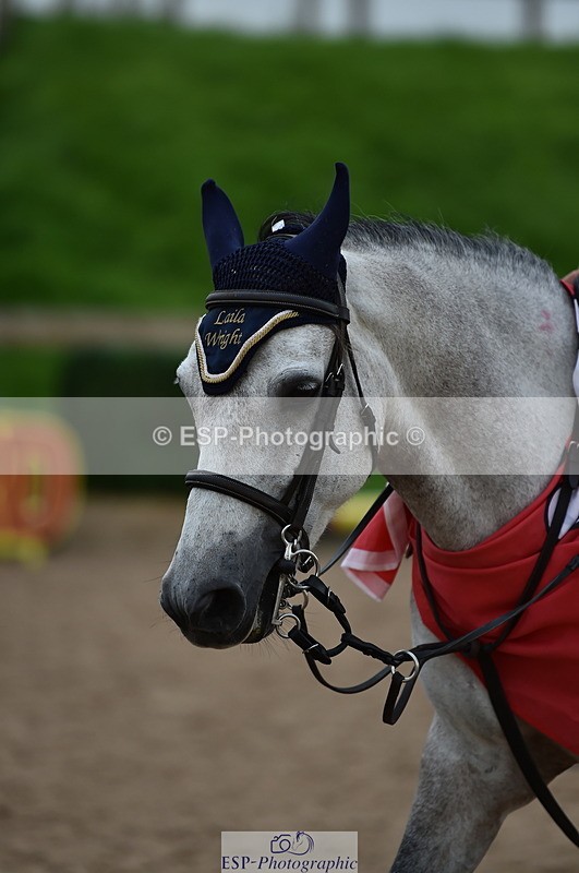 230902A-182932-02704 - Evening Ride and Run