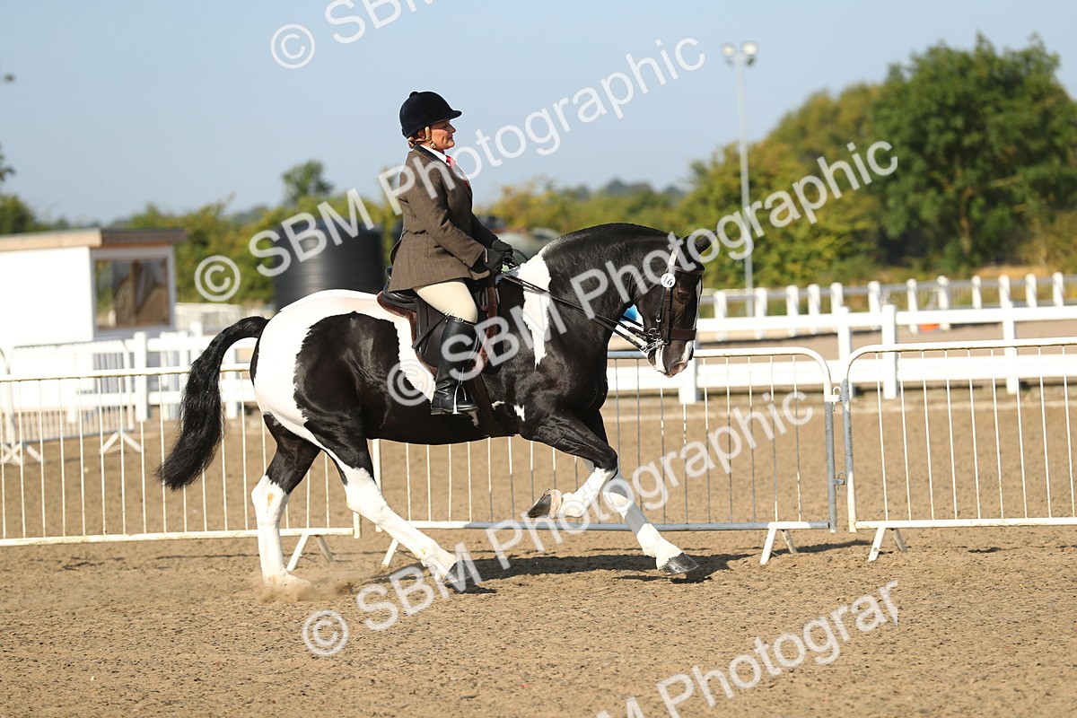 SBM_01138 - Class 42 Ridden Veteran