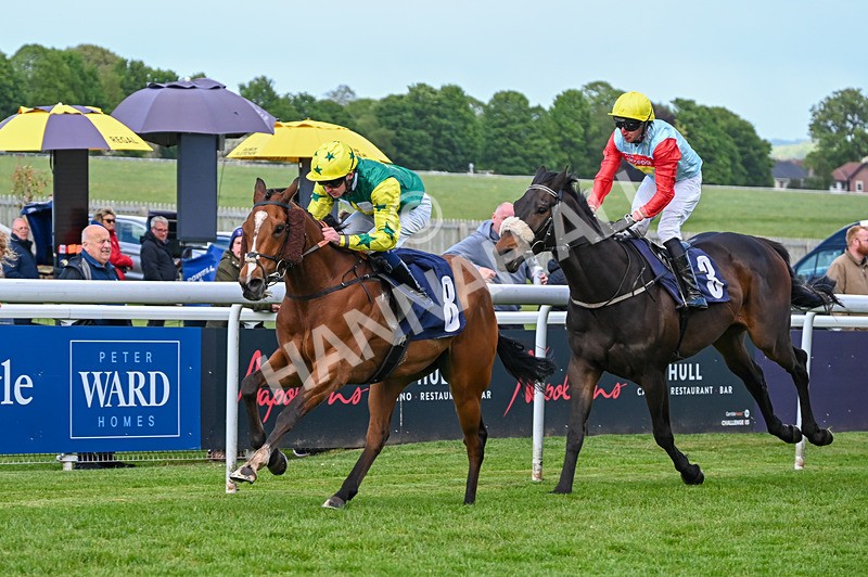 120526-Race 5-Coolree-8769 - Race 5 4.35pm Napoleons Casino And Restaurant Hull Handicap