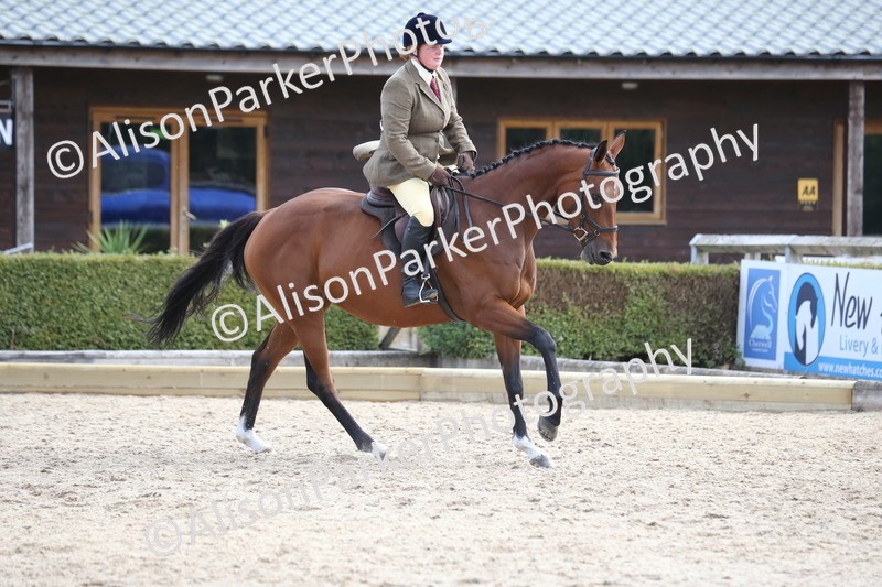 20260831-2653 - Class 15 - Ridden Retraining of Racehorses