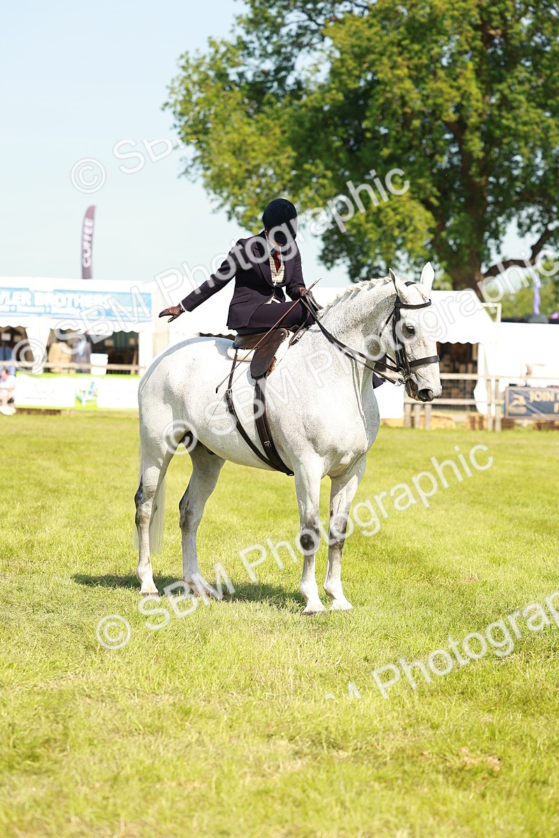 SBM_13207 - Class 70-71 - Side Saddle