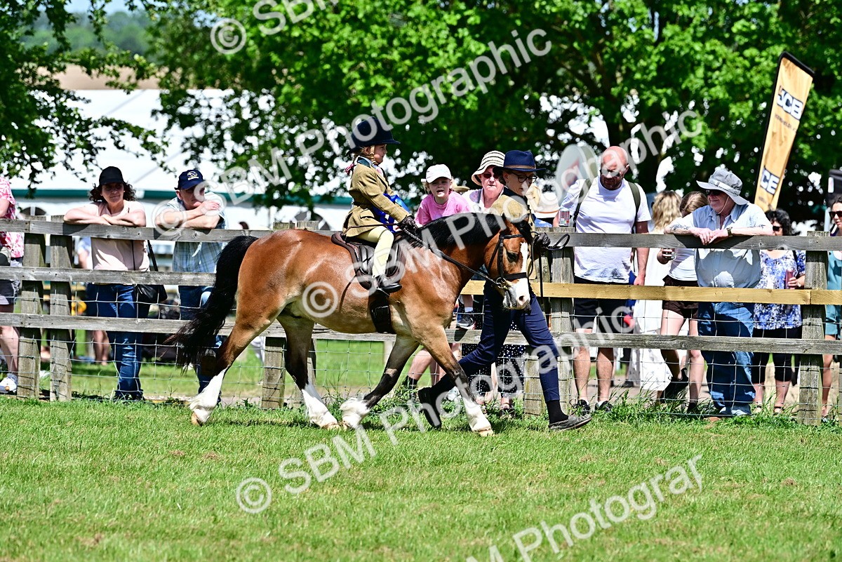 SBM_06440 - Class 59-60 - TSR M&M  Lear Rein and First Ridden Amateur of the year