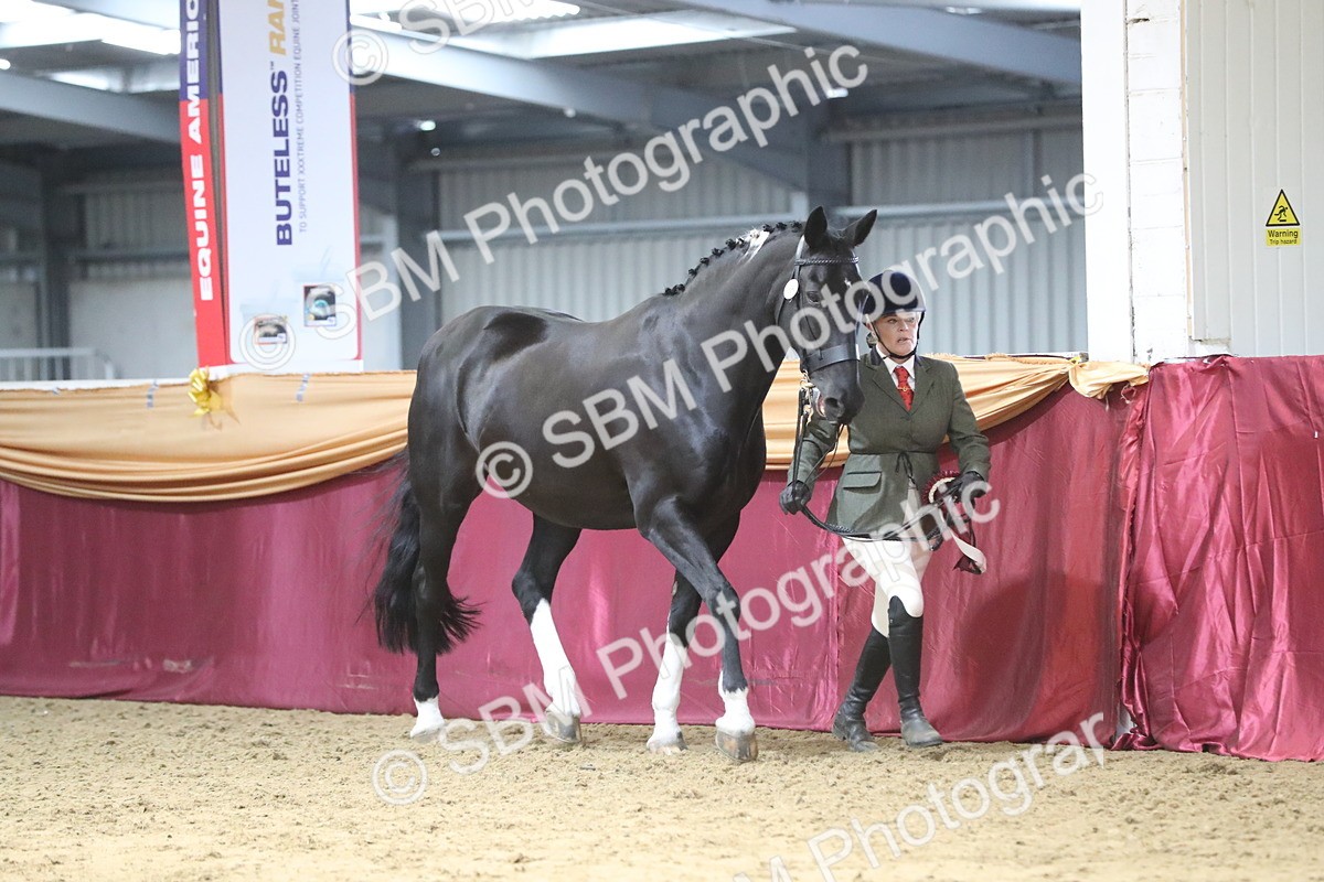 SBM_06489 - Class 9R Regional- IH Pre Vet