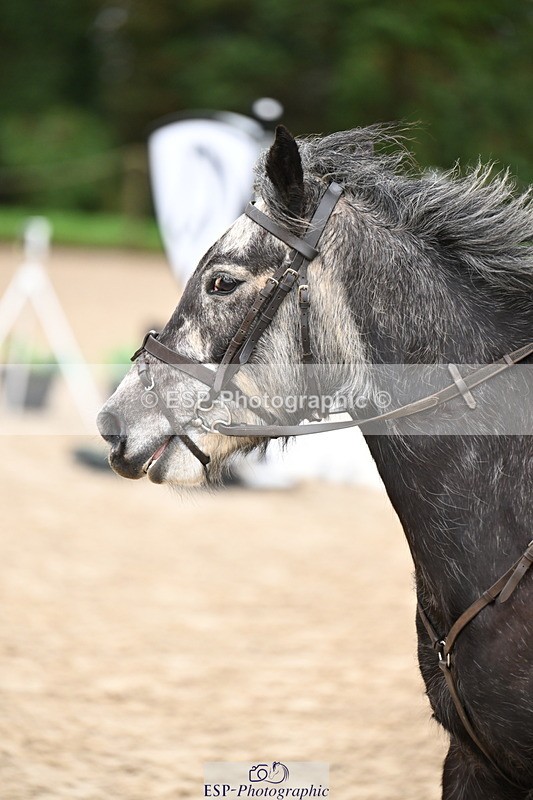 260222A-111804-00562 - 50cm All sections